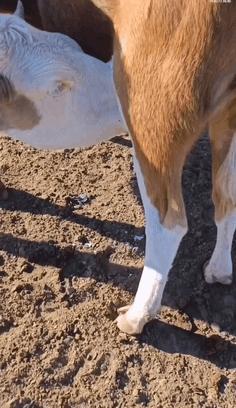 千万不要乱起淘宝名字,千万不要随便起淘宝名