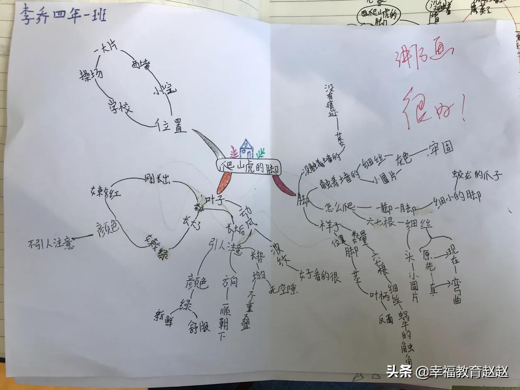 爬山虎的脚思维导图怎么画图片,爬山虎的脚思维导图绘画过程
