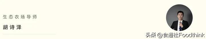 21个年轻人踏上了chatGPT也想象不到的旅程