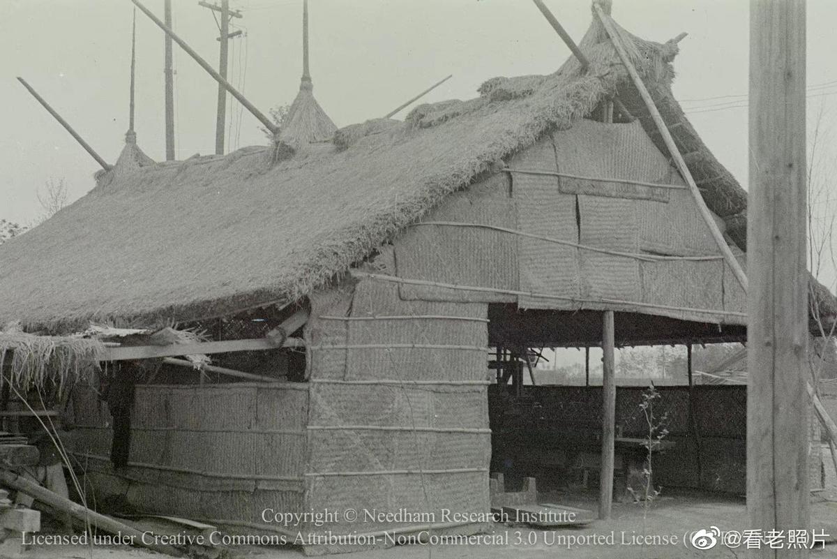 日军日记:*安妇慰**不服从管教,我很愤怒,用*刀刺**插入她的*体下**