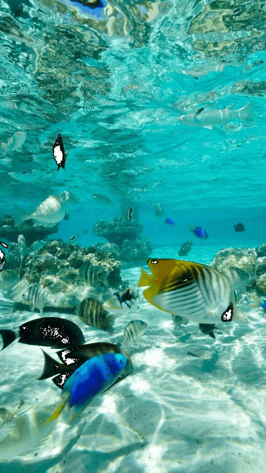 蓝色海景壁纸图片大全,海景壁纸4k超清全面屏