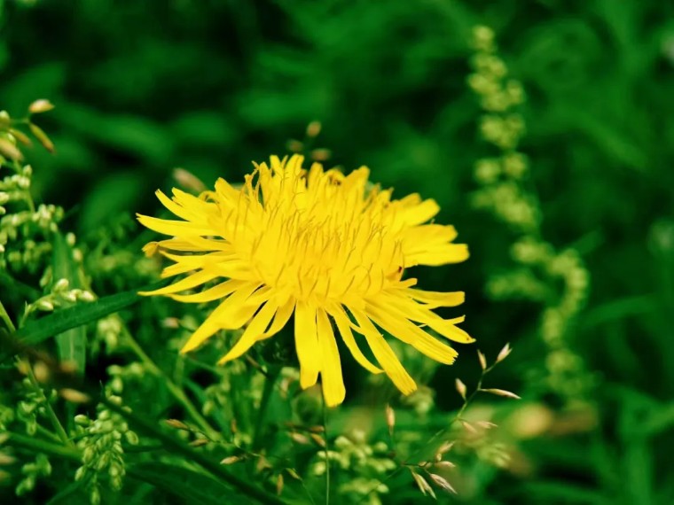 教你一招拍大片,拍摄60个技巧