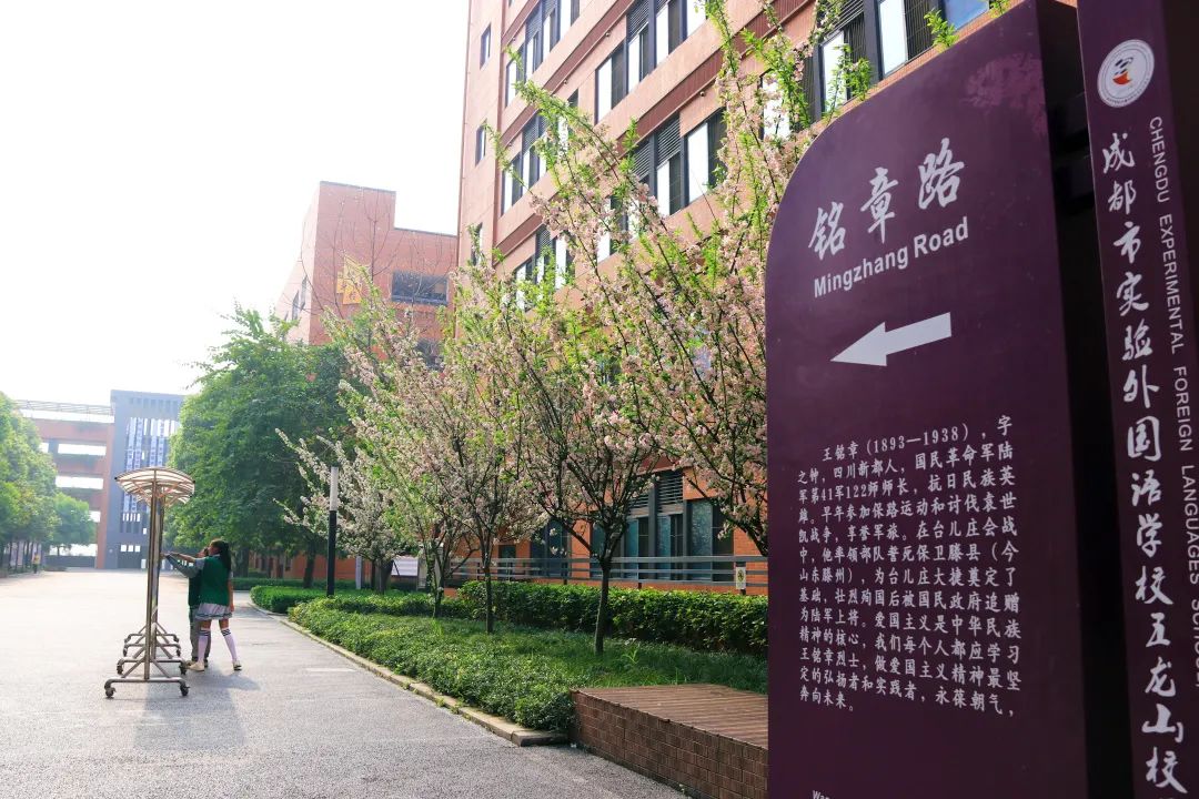 成都实验外国语五龙山中考重点率,成实外五龙山校区中考升学率