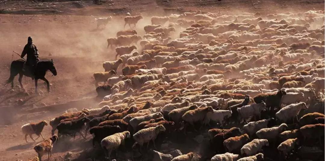 盈利下降,盈利下滑公司估值