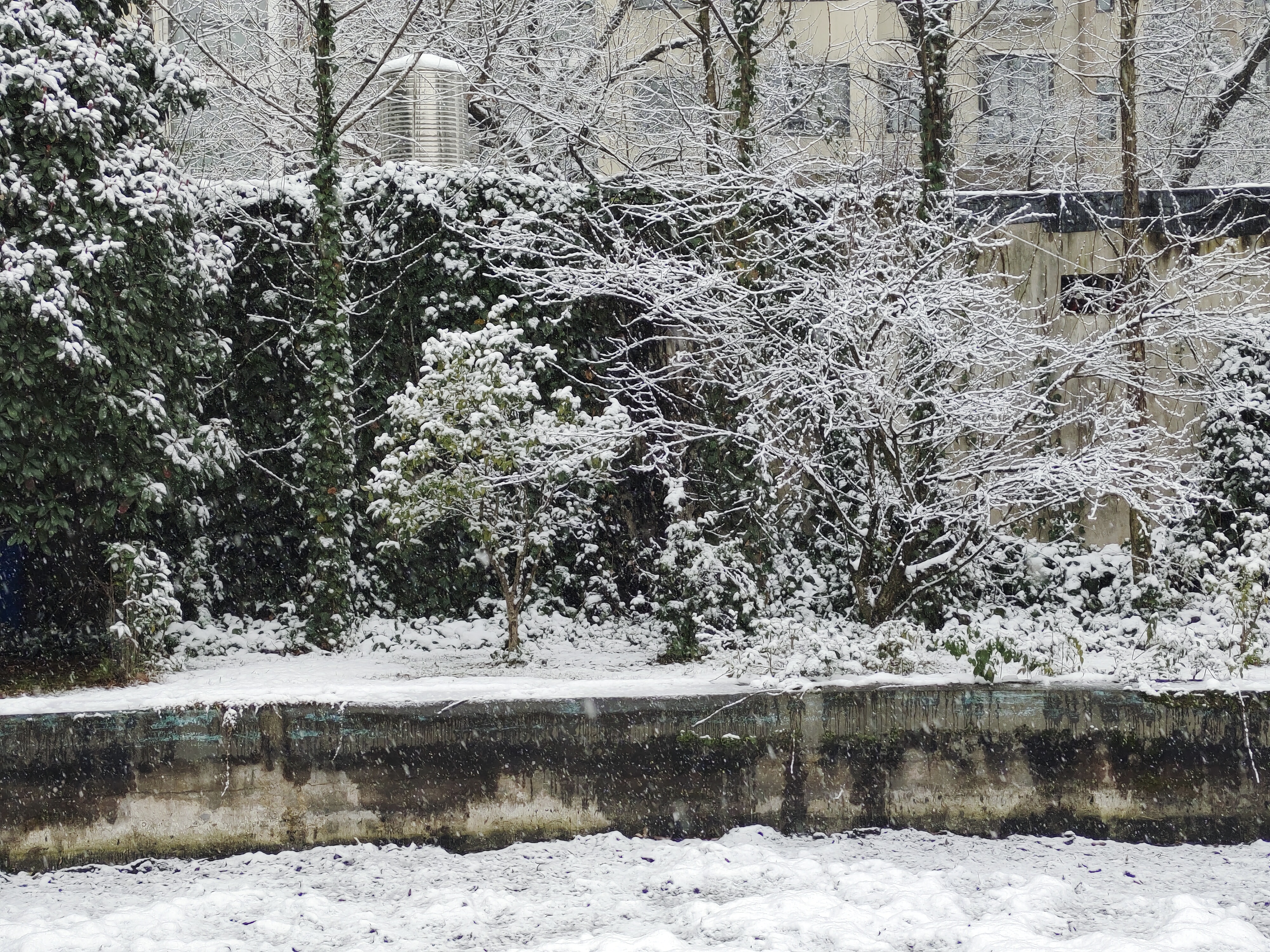 iqooneo5新手机换机,iqooneo5换新系统