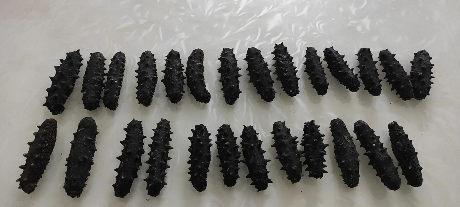 人参和海参哪个养生好,每日一个海参效果如何