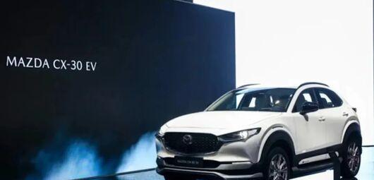 驭风翱翔,驭风翱翔什么意思