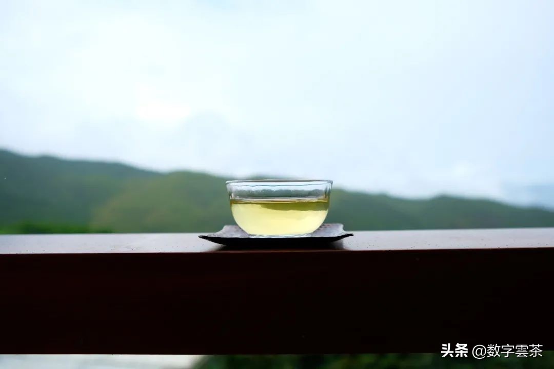 普洱泡出来有股苦涩菜汤味,普洱茶茶汤混浊是内含物质丰富吗