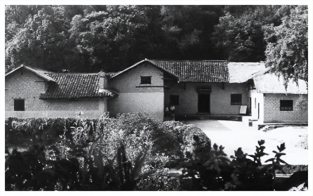 毛*东泽**忆父亲毛顺生：严厉却父爱如山，从初不理解到深深怀念父爱