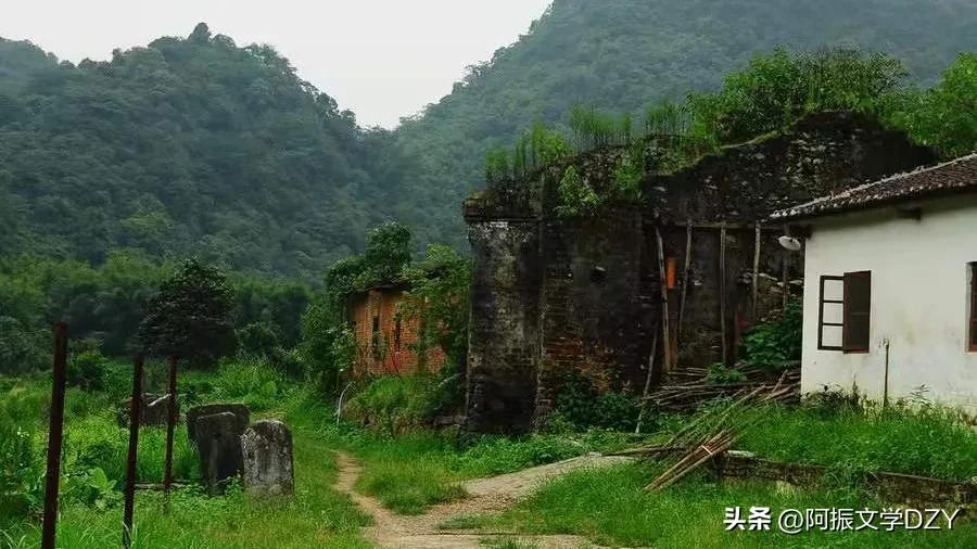 新聊斋故事大全完整版,新聊斋故事