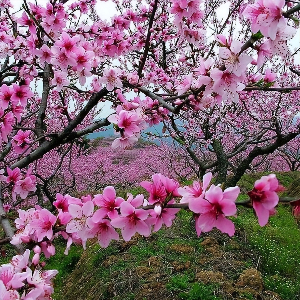 单日1.2万人“涌入”！爱上这个“店”的N个理由