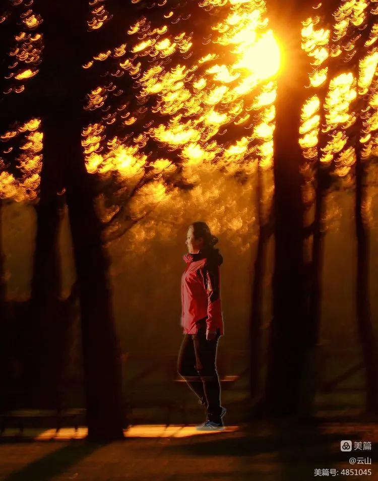 画意风光,画意风光摄影