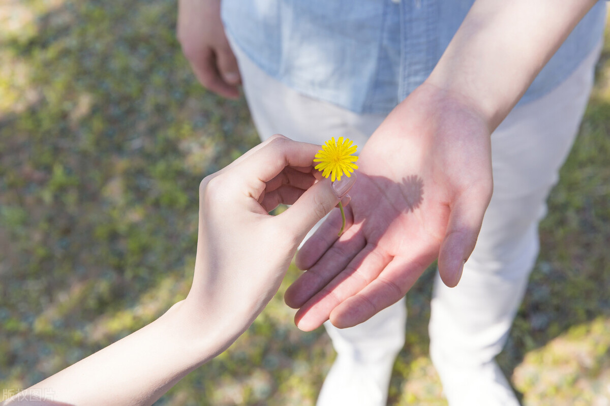 粉丝满100了以前的头条收益还有吗,没有100粉丝在头条发视频有收益吗