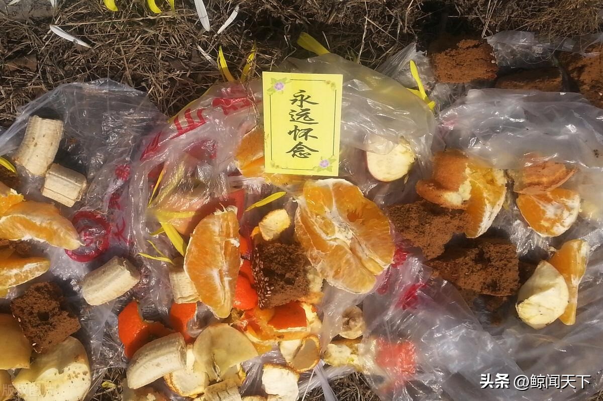 清明扫墓讲究颇多，“3做5禁忌”一个都不能错，今天你做对了吗