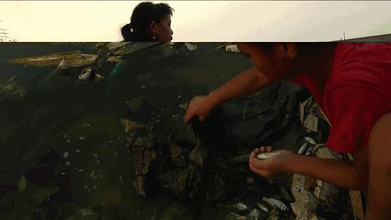 中国拒收“洋垃圾”4年，西方多国垃圾已无处安放，已臭气熏天？