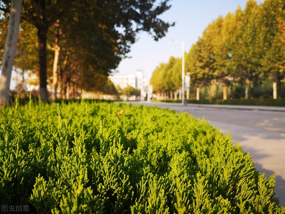 黄河水利职业技术学院校园cad制图,黄河水利职业技术学院是几本学校