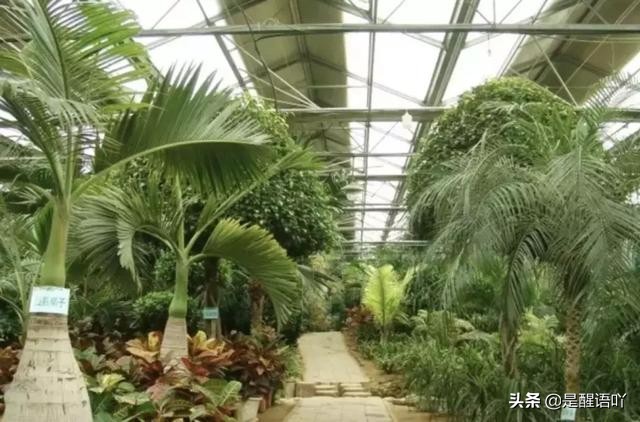 故事小镇景区,故事小镇视频