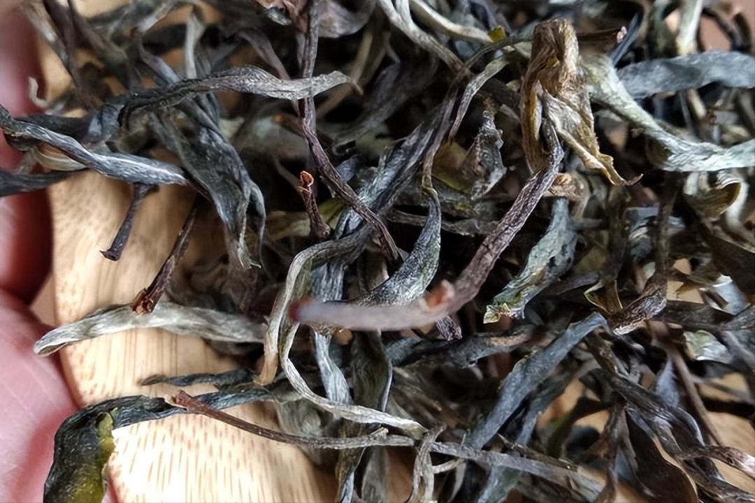 各产区普洱茶的条索特点,怎么区分普洱茶的三种条索