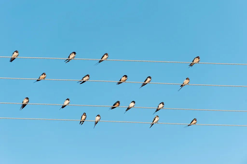 就在明天贾浩廷歌曲,就在明天演唱