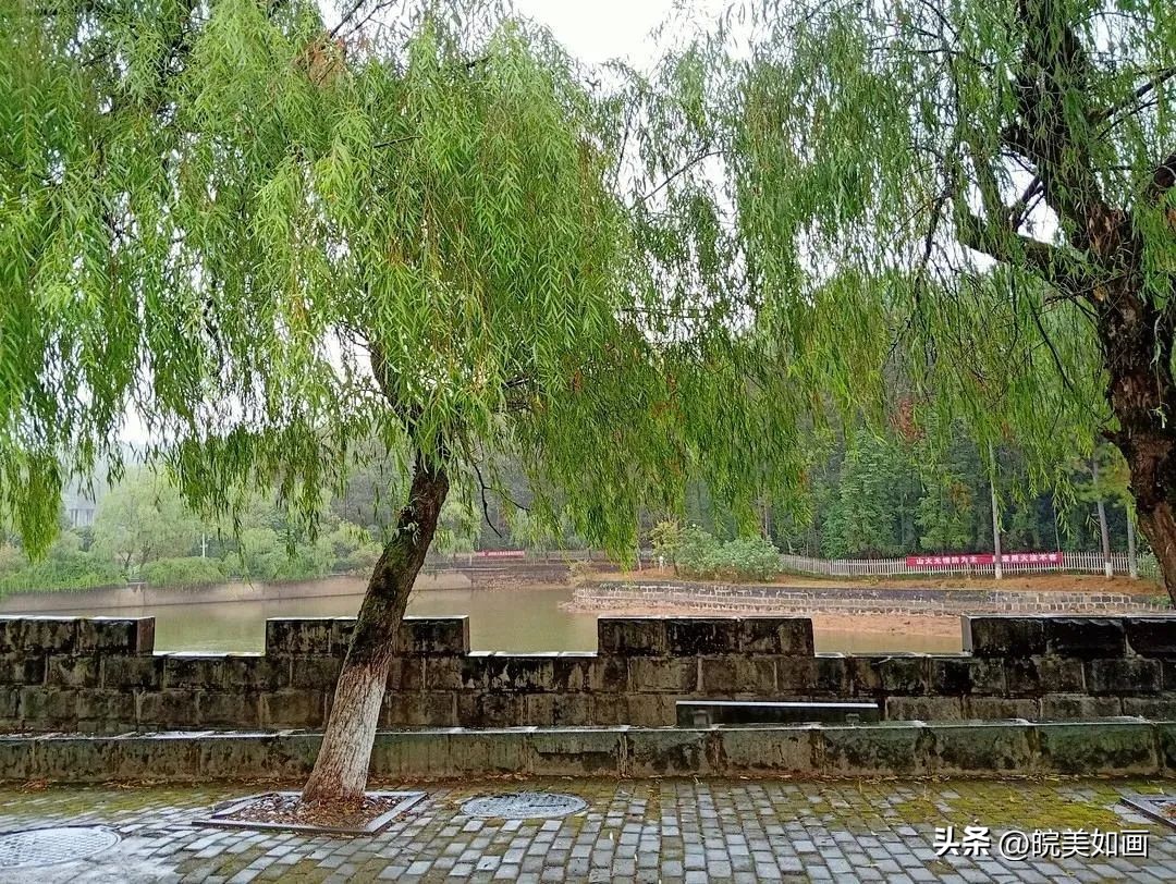 安徽大学好看的风景,高校最美秋景