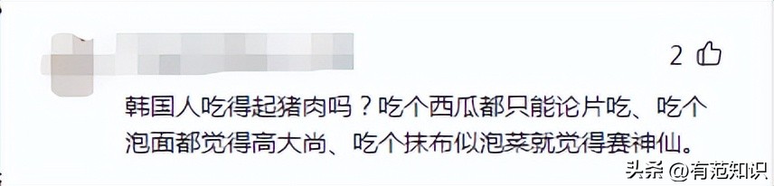韩媒:五花肉是中国人剽窃韩国人的,网友:猪的历史都比TA长