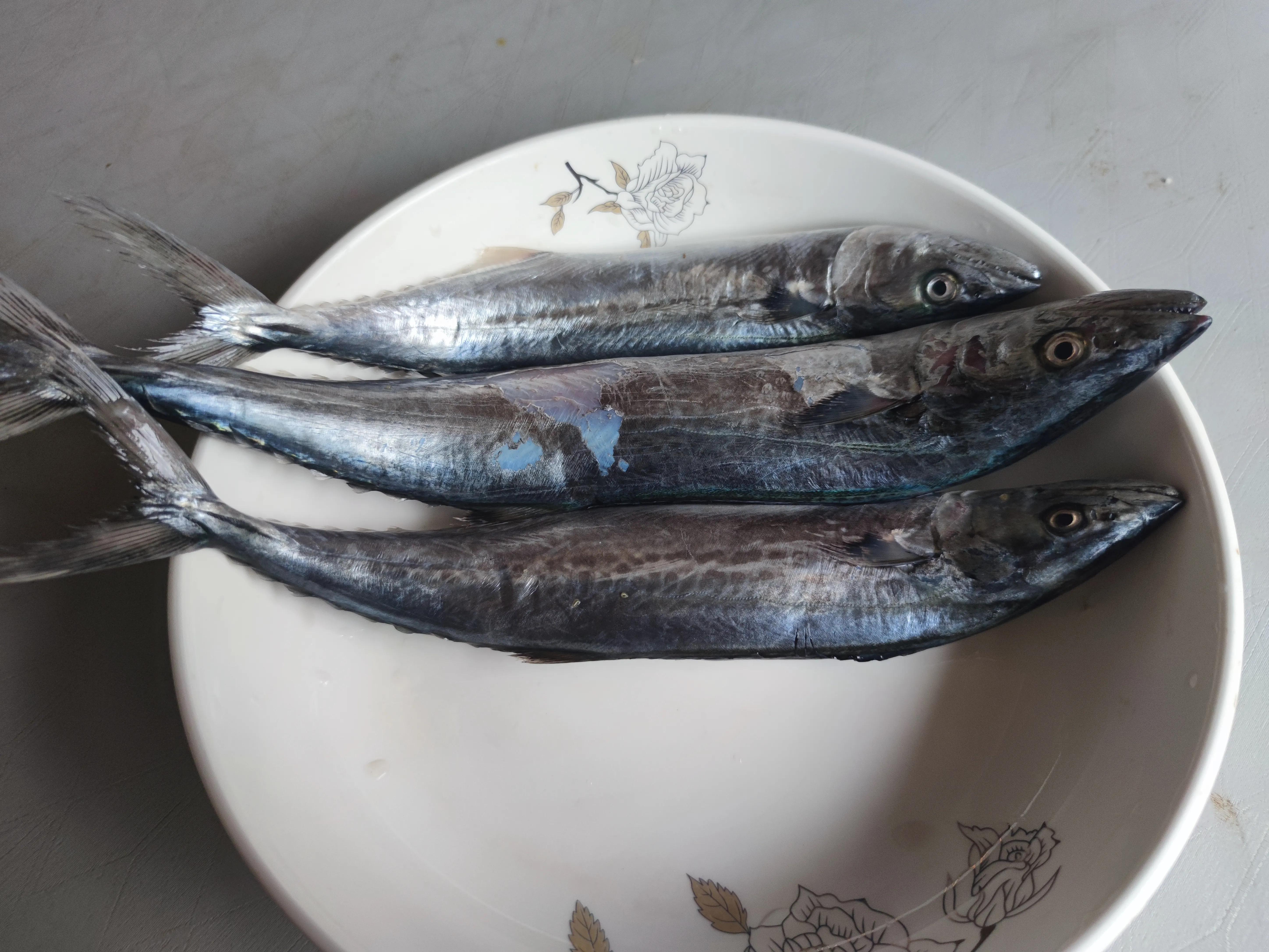 五一前什么海鱼最肥美?这8种都是正宗无养殖的，再不吃可要封海了