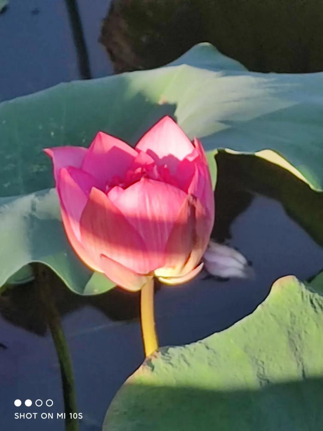 霍乱：一直没消停的古老瘟疫