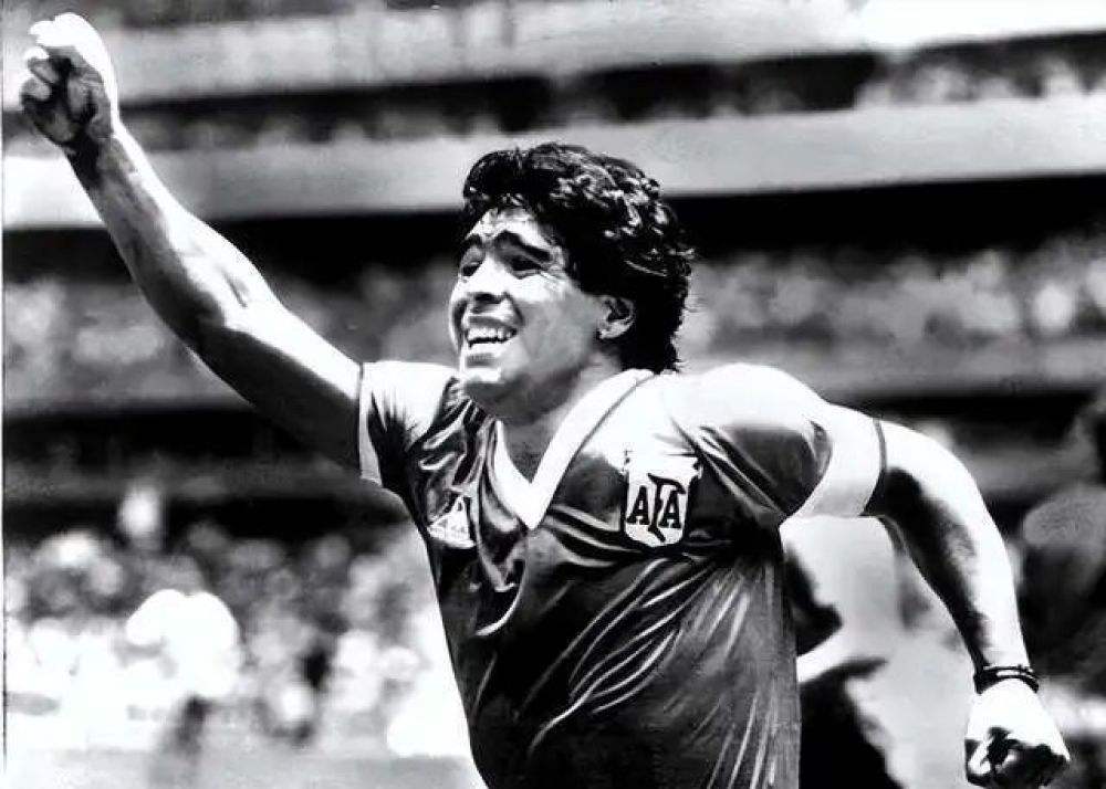 看世界杯需要了解什么,关于世界杯2022