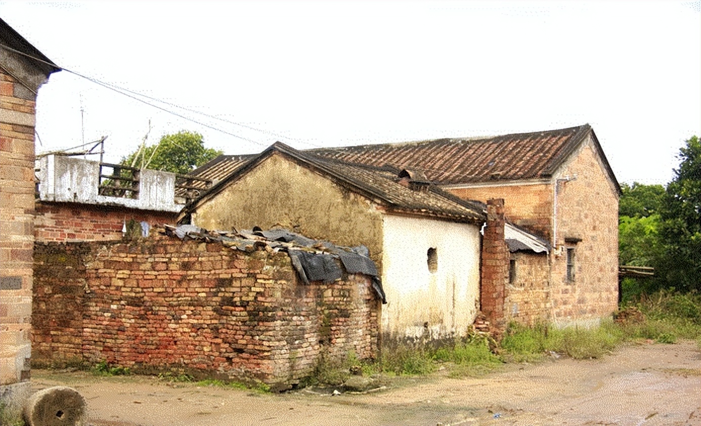 大眼睛女孩苏明娟100字人物事迹,安徽女孩苏明娟近况