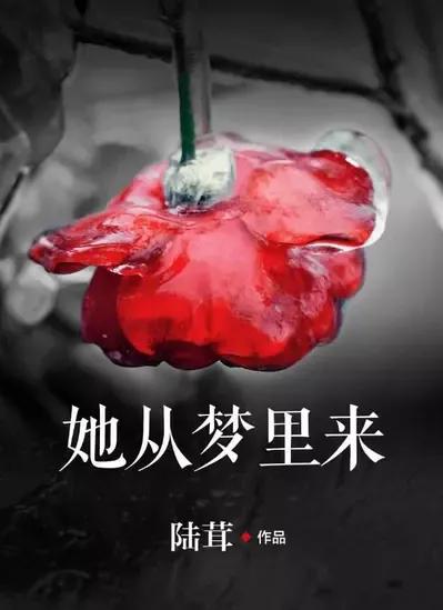 她从梦里来小说结局,她从梦里来免费观看全集