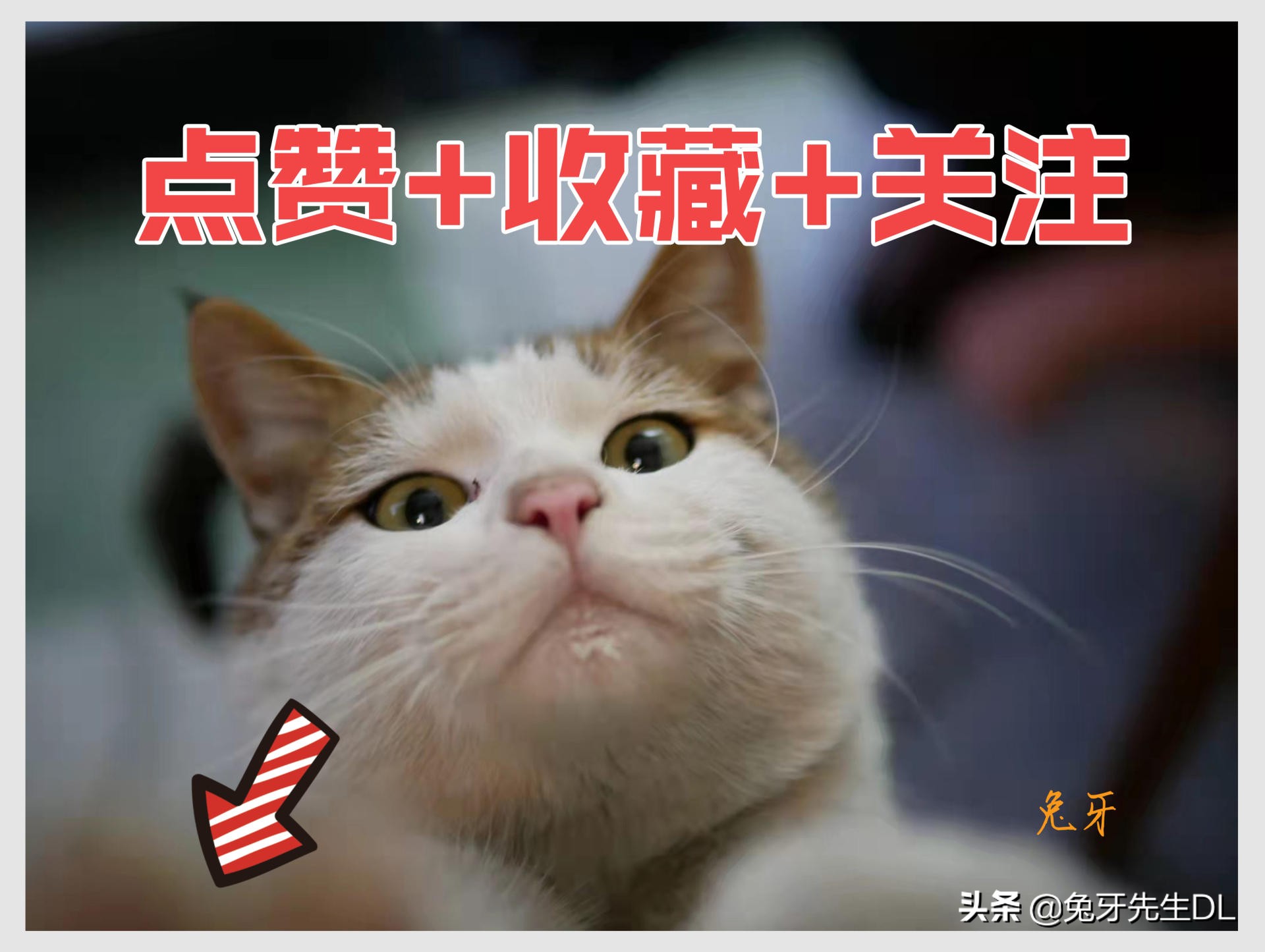 德业除湿机t22a3和n20a3哪个好,德业t22a3和美的CF30BD哪个好