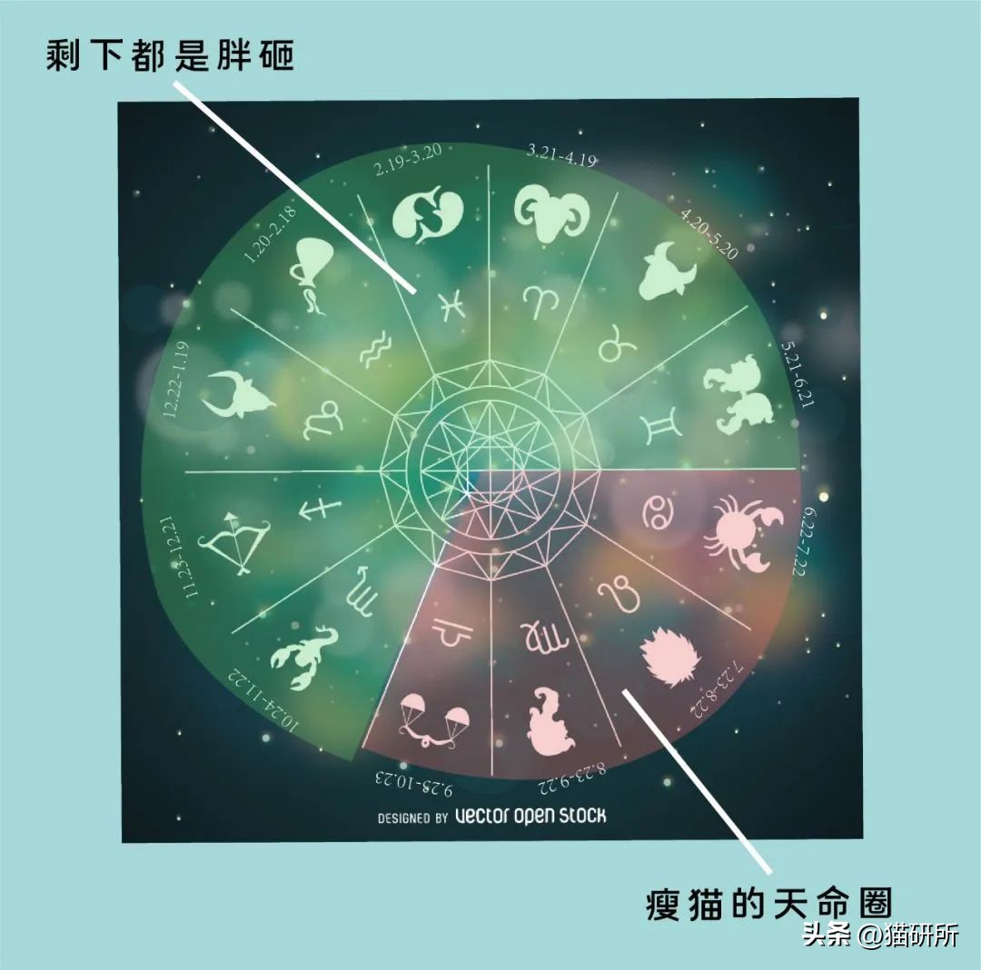 猫咪的肉垫看性格,猫咪肉垫形状代表什么性格