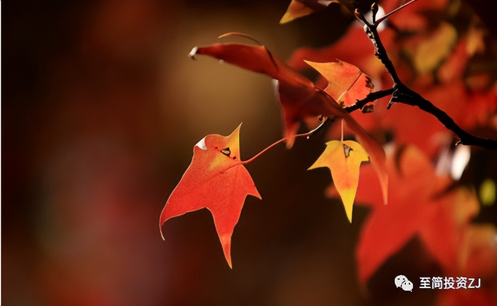 孟德稳新手期货交易教程,孟德稳期货教学视频完整版