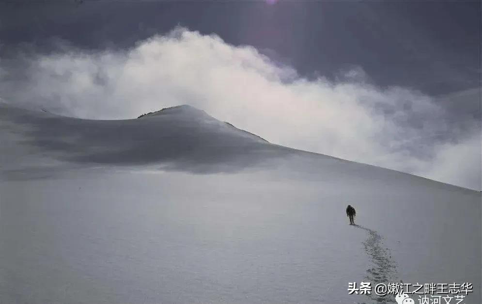 迎新春庆新春诗词,迎元旦庆新年诗词