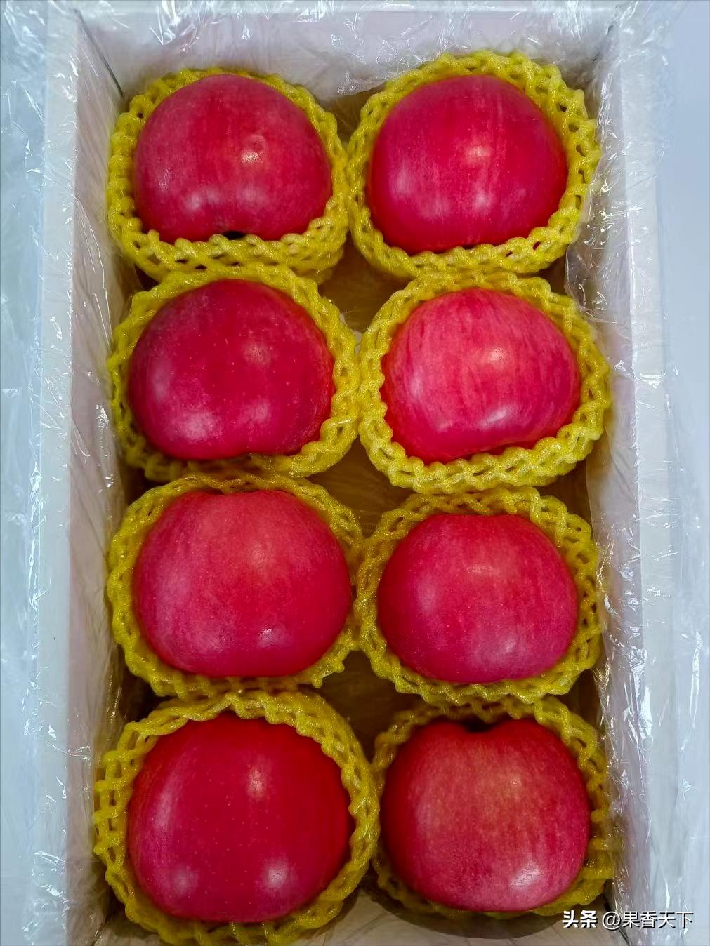 众成三号苹果新品种,最新最全苹果新品种