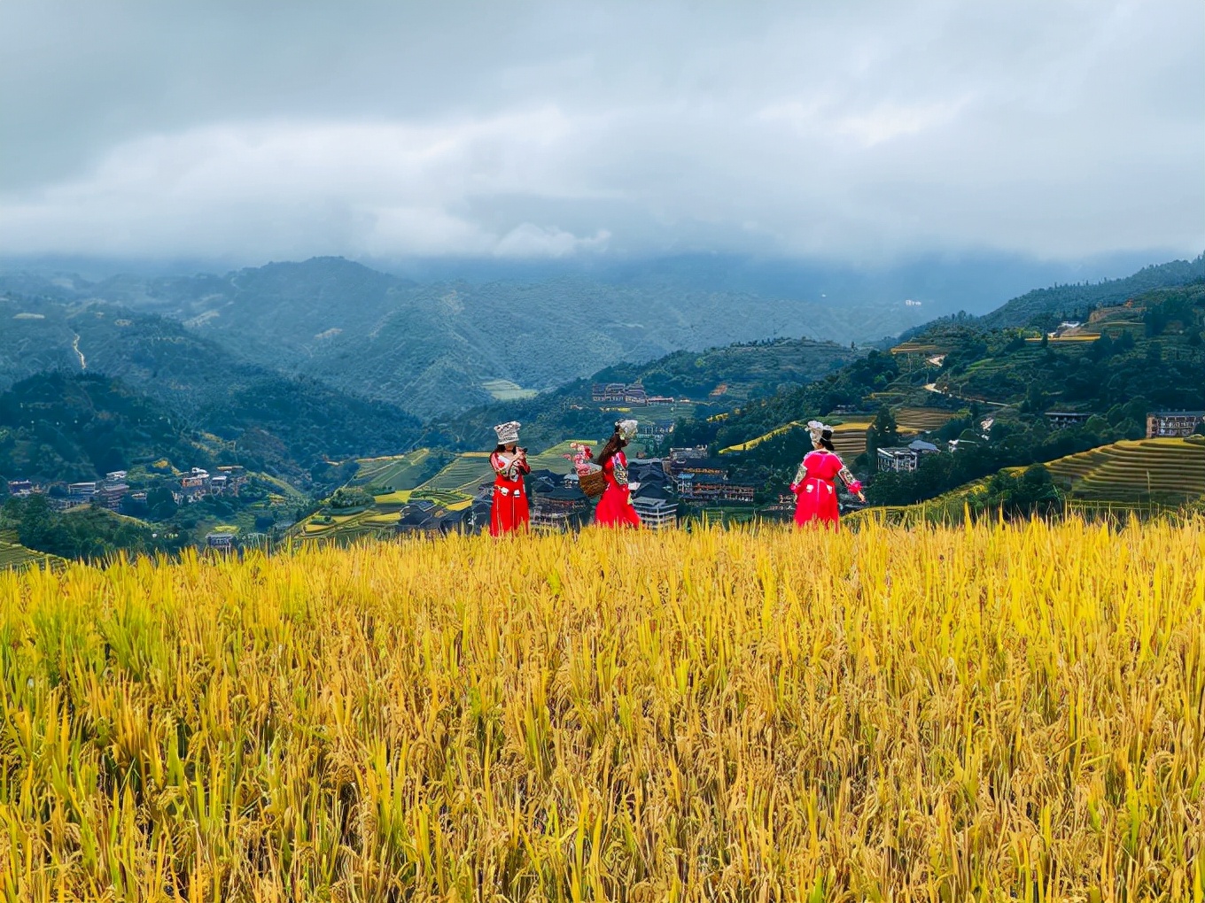 广西梯田龙脊梯田,龙脊梯田世界一绝美不胜收