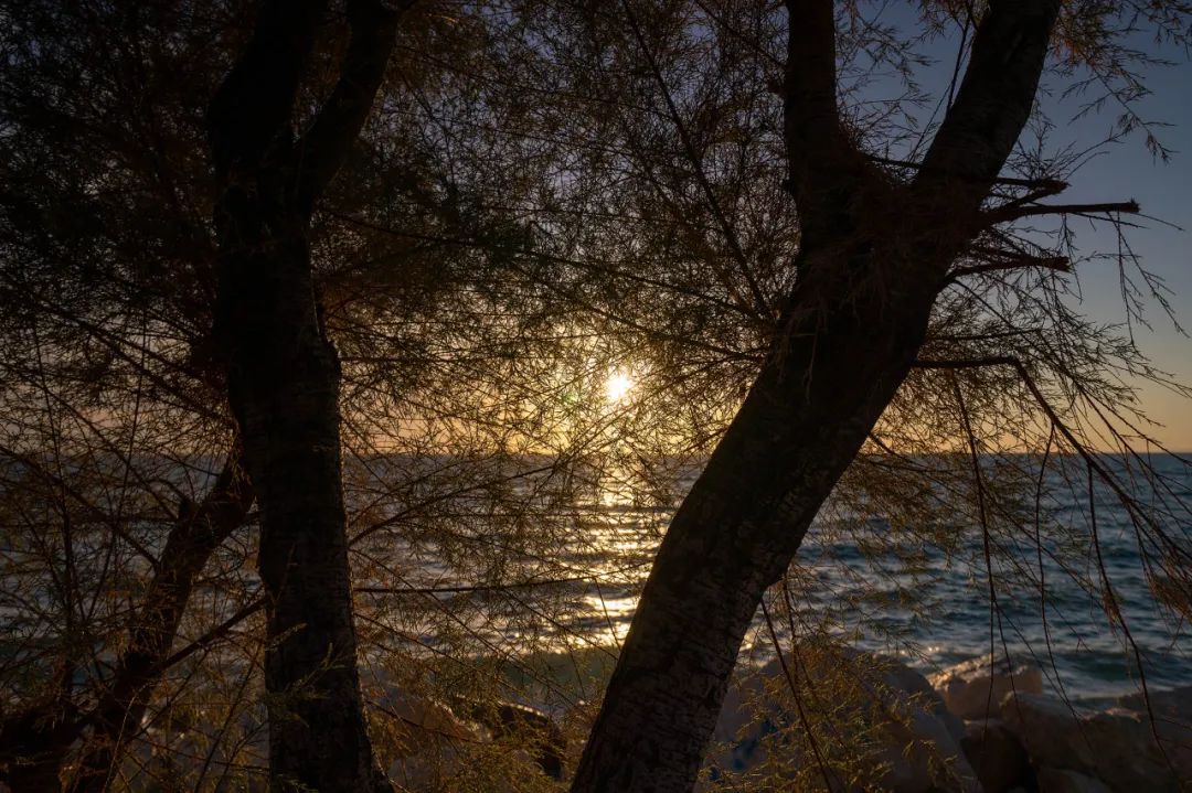 新品评测：Tokina11-18mmF2.8E多场景摄影搭档