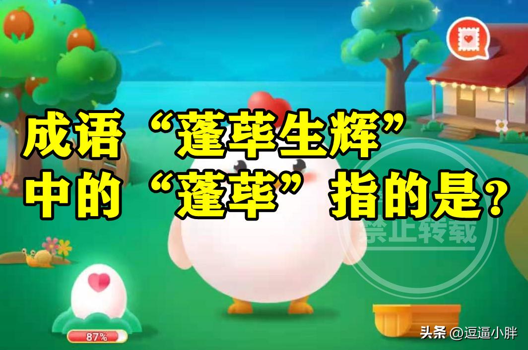 成语蓬荜生辉的蓬荜是什么意思,蓬荜生辉是不是好的成语