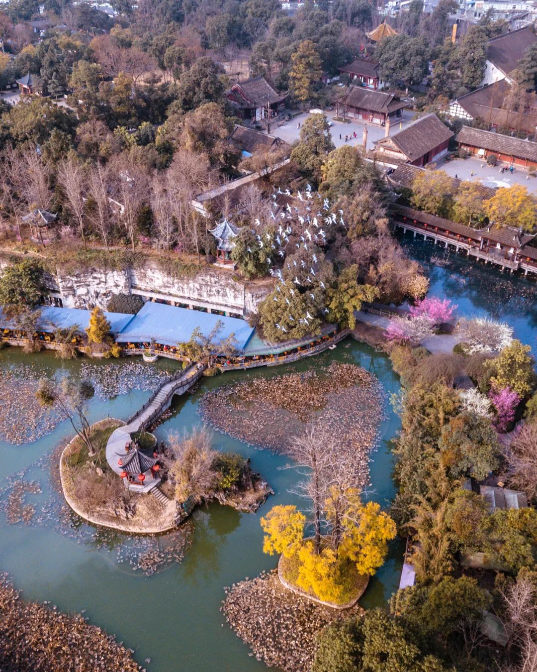 成都向上最新信息,年度向上力量合照