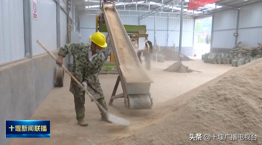 秸秆还田怎么变废为宝,农作物秸秆就能变废为宝