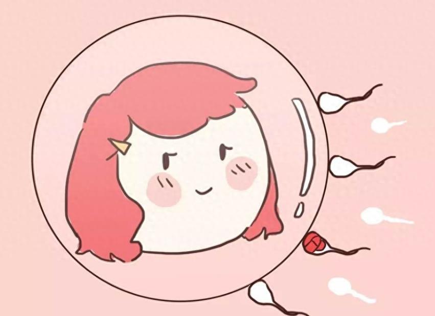 失落的小勇士们,踏上了怀孕之路