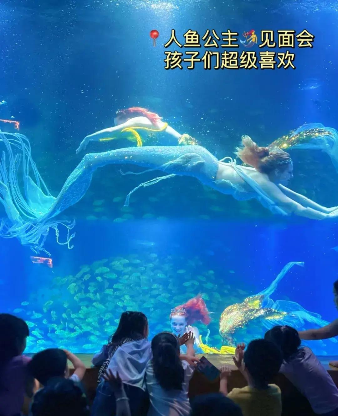 南京海底世界免费旅游,南京海底世界潜水门票