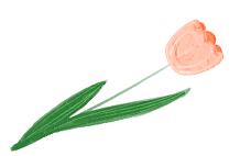 乡村振兴多肉,多肉种植成乡村振兴新宠