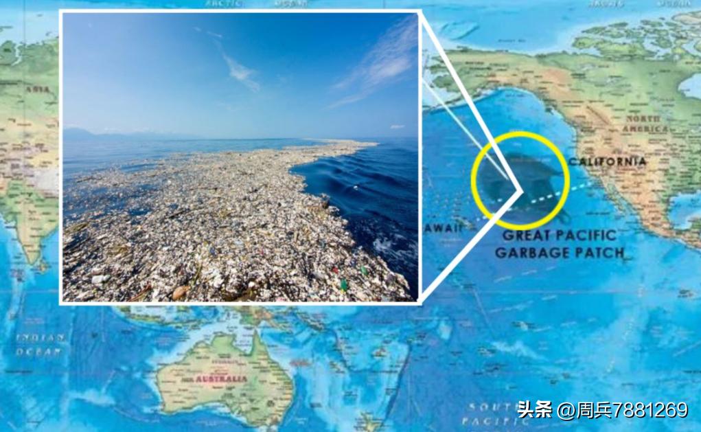 我国为何大力推行“以竹代塑”？竹制品有哪些优点？