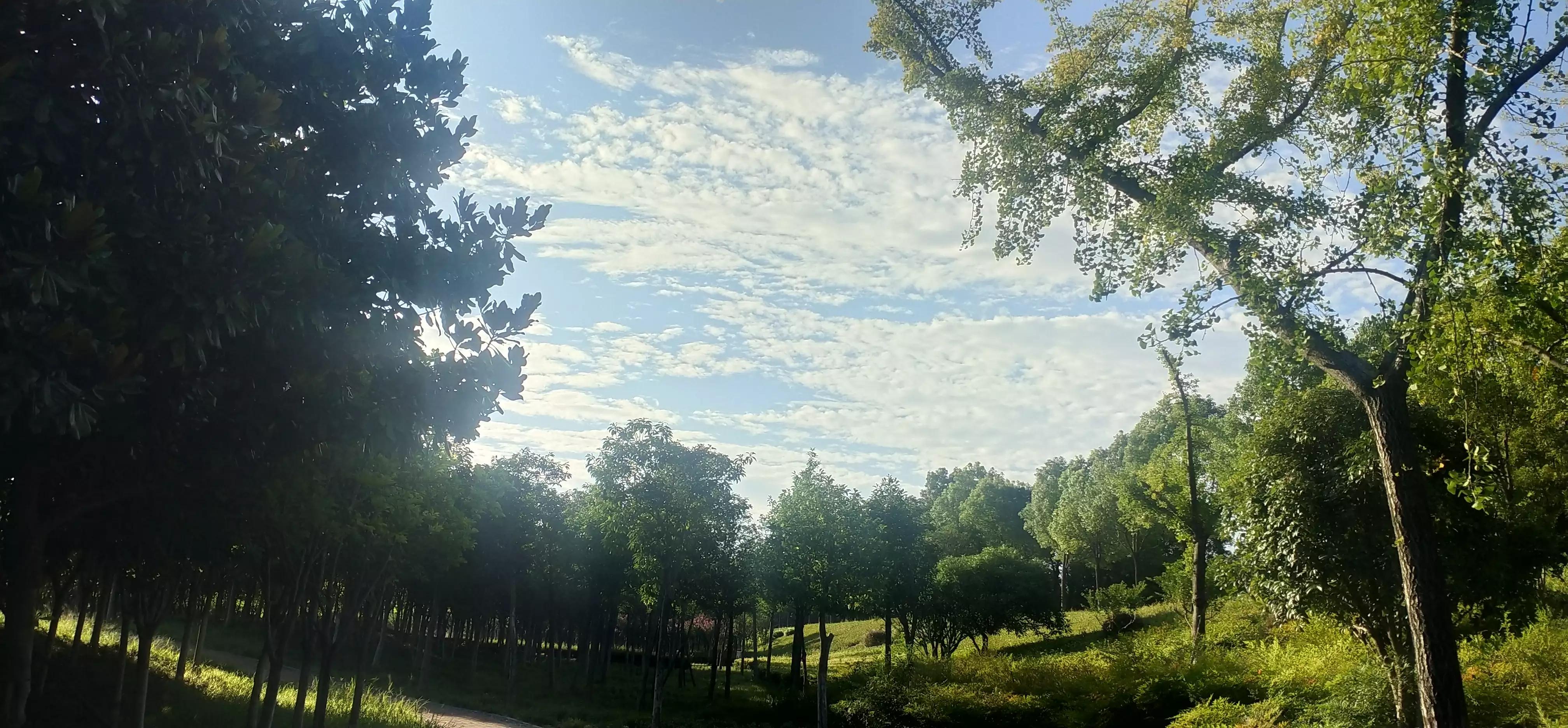 跑步无伤跑到地老天荒,跑步10年总结10条无伤跑秘籍