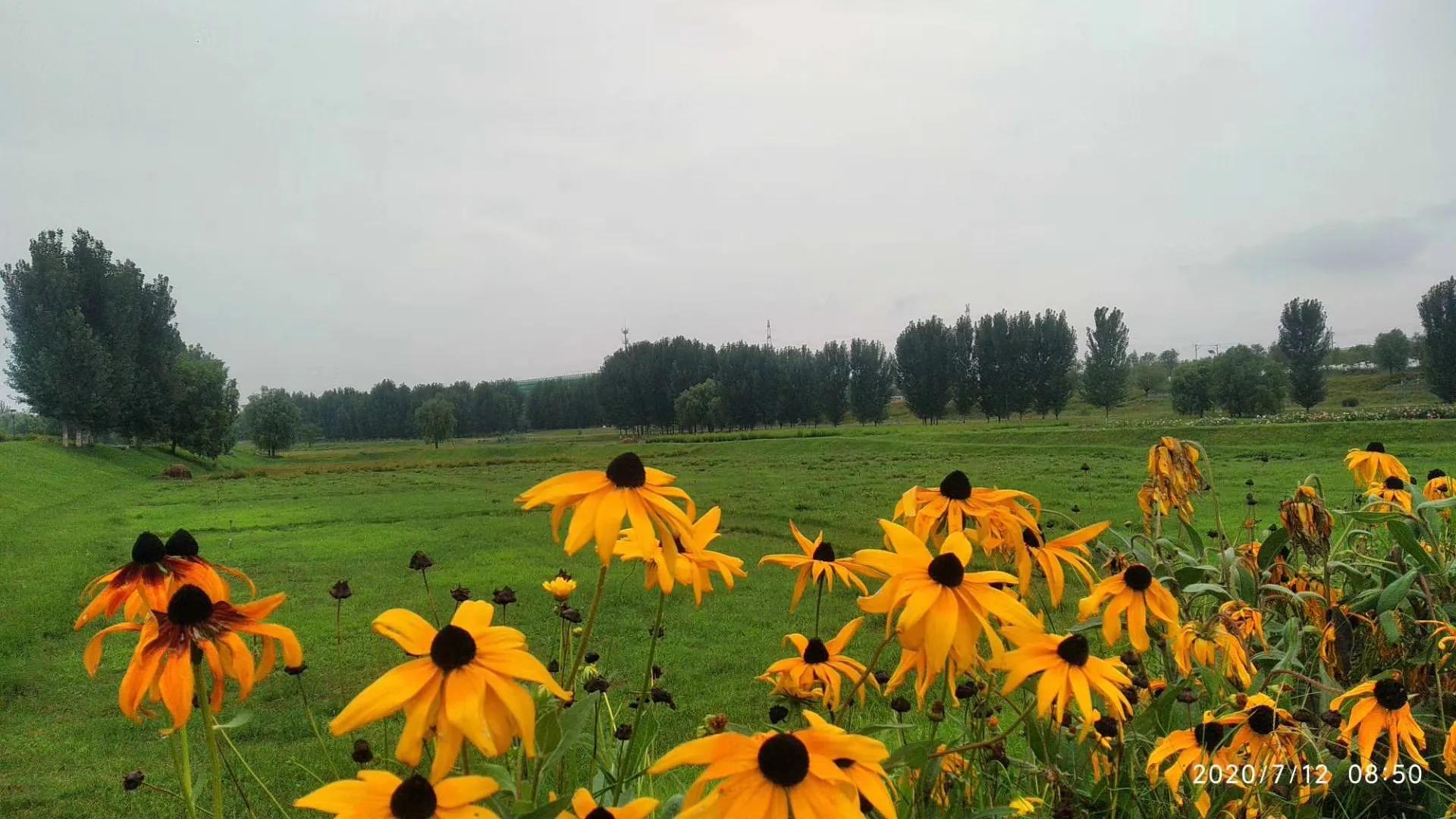 咸阳最好的公园在哪里,咸阳龙湖彩虹郦城规划有公园吗