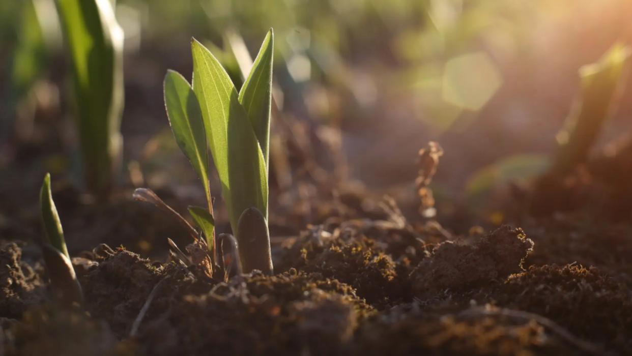 碳基生命与硅基生命对比视频,从碳基生命到硅基生命时间表
