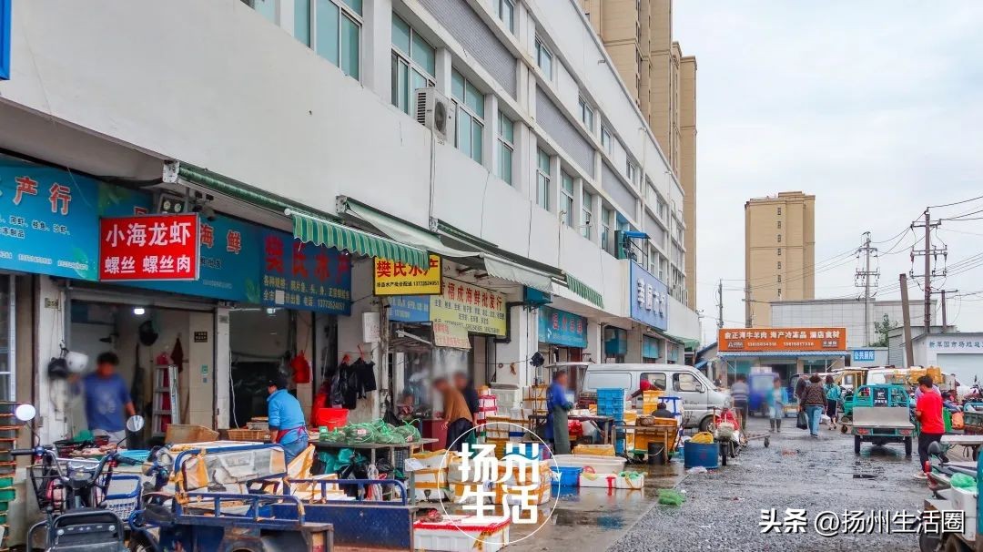 不吃一顿螃蟹，扬州人过不好这个秋天