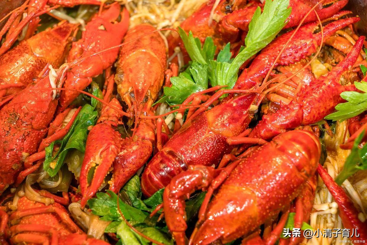 孕妇能吃小龙虾吗初期吃什么,这段时间的小龙虾孕妇可以吃吗