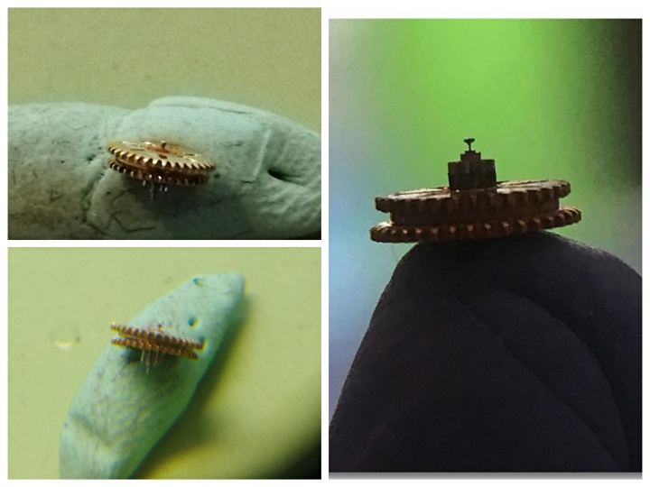 机械表戴久了的常见维修问题,机械表走时不准如何修理